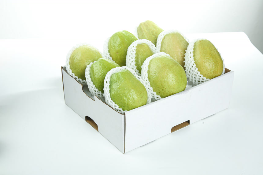 礼盒里装着红心芭乐