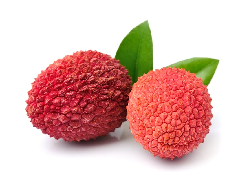 白底图上的夏季荔枝果实水果宣传新鲜水果水果店