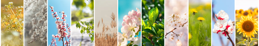 春夏秋冬抽象的自然背景自然春夏横幅