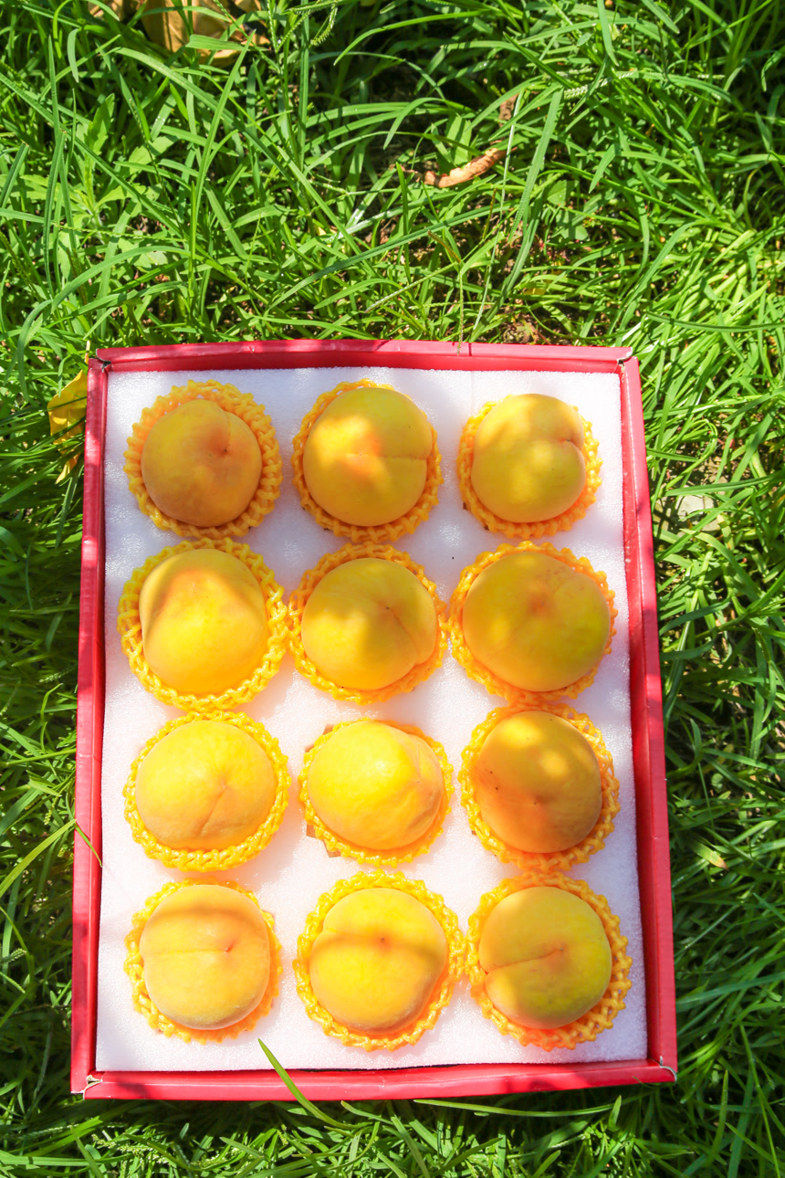 手里拿着黄毛桃