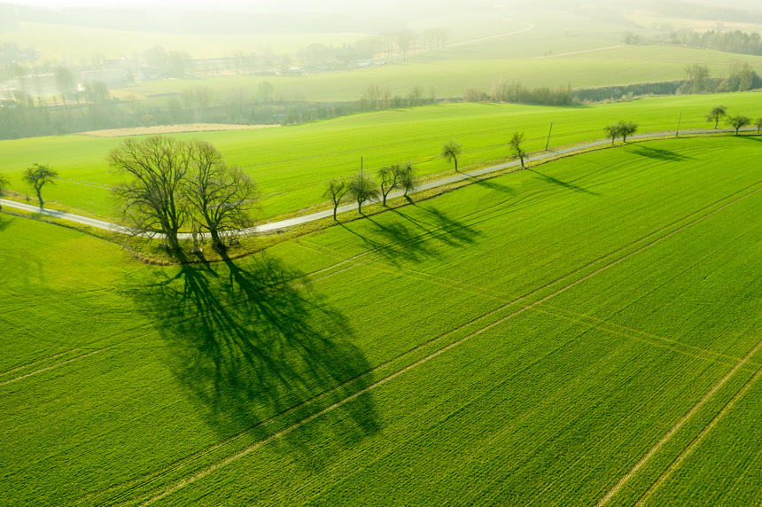 柏油路上的空中景观把两块耕地隔开了农民之间高速公路自然风光