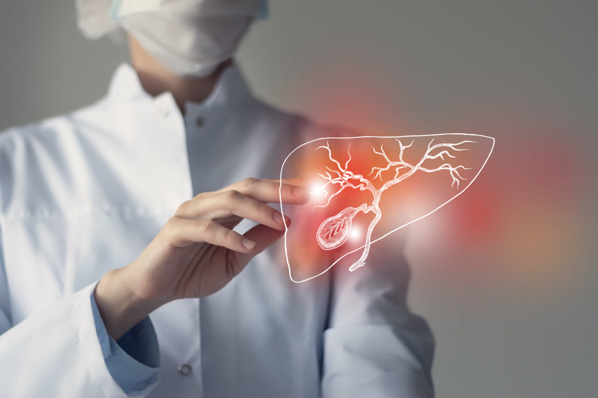 女医生触碰虚拟胆囊人体器官医疗人像