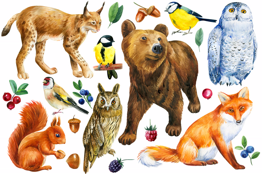 儿童手绘插画插图动物主题元素素材背景壁纸