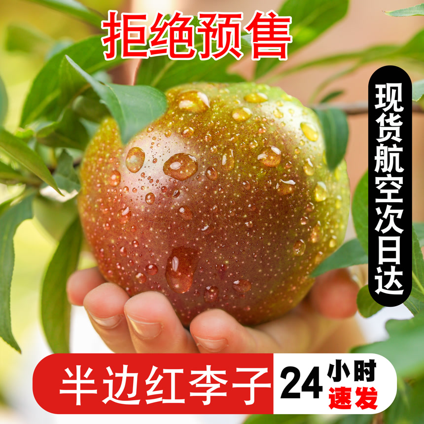 半边红李子主图
