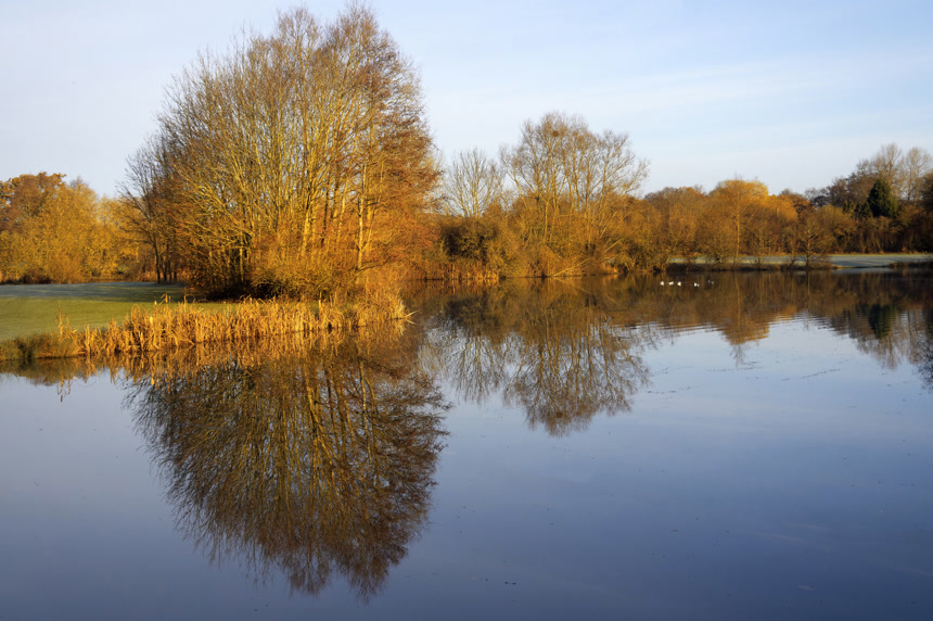 秋天树木倒影在湖水中自然风景