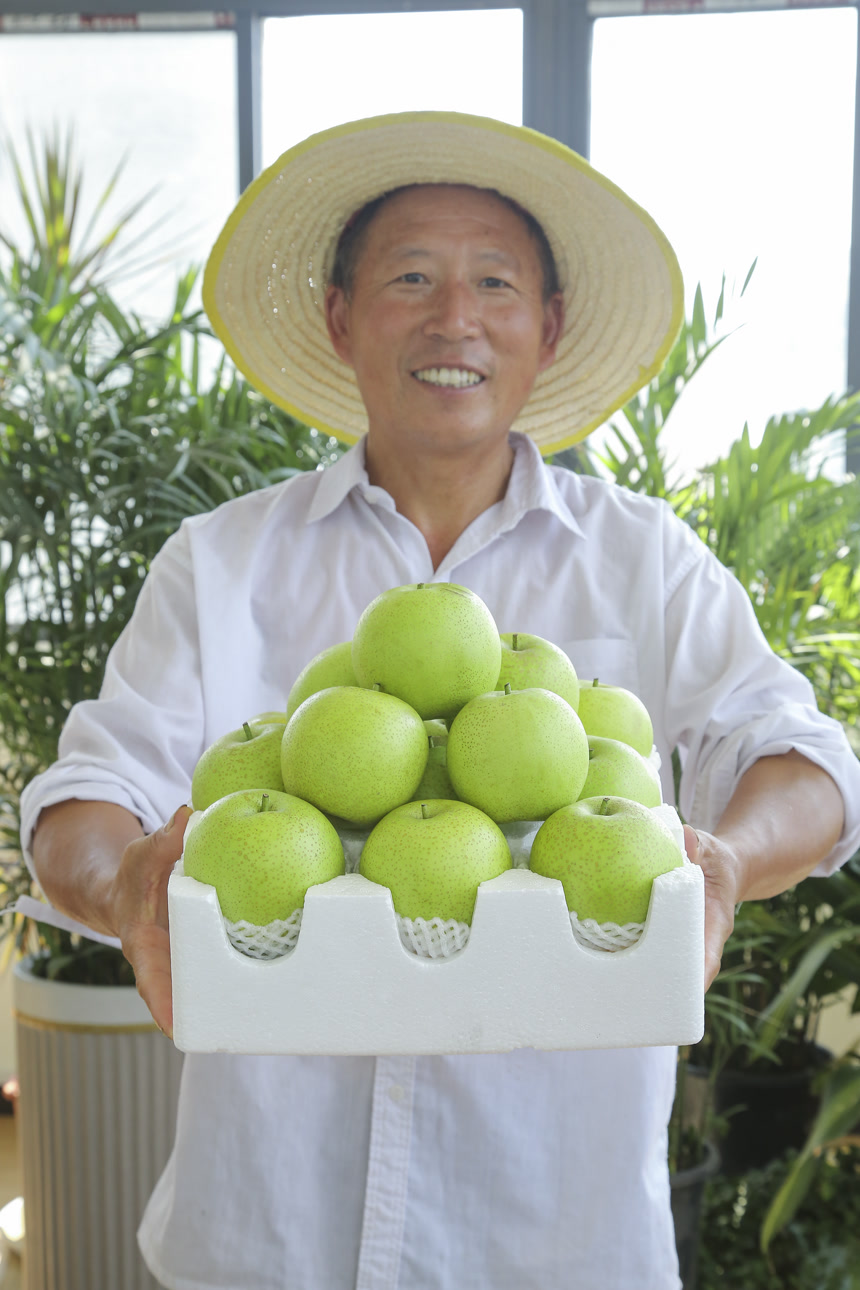 手里拿着一盒青皇冠梨