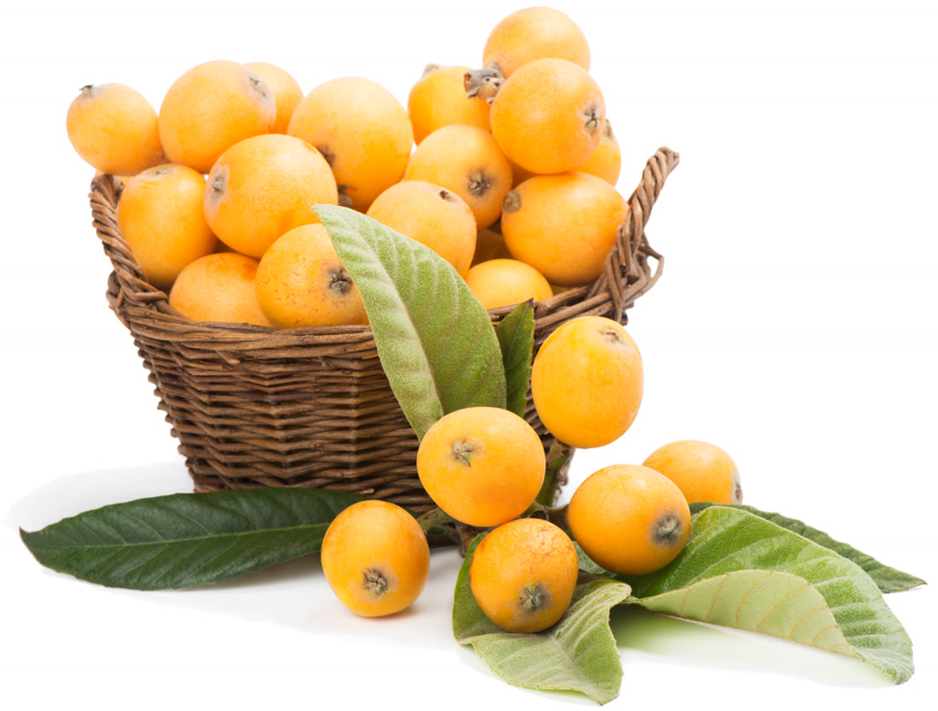 白色背景上的一筐枇杷果水果店宣传