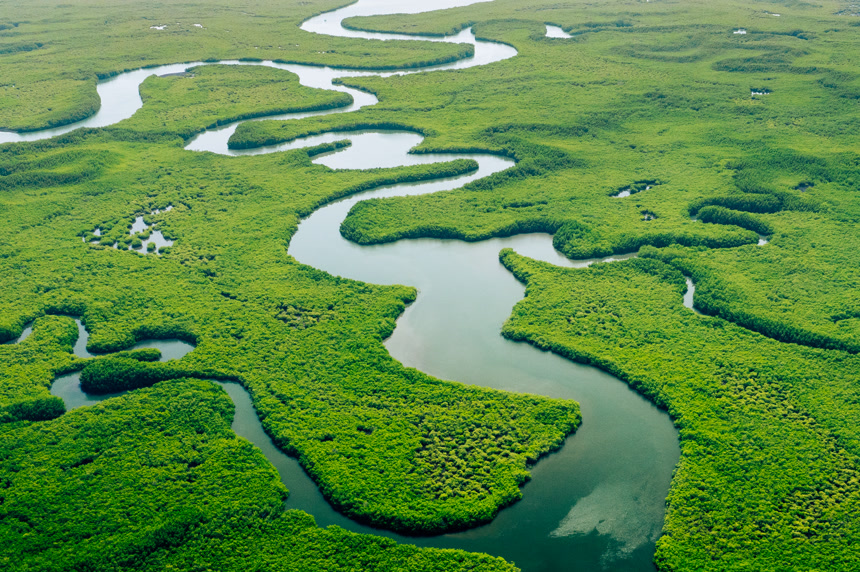 生态系统与健康环境。概念和自然背景。热带雨林。空中俯瞰. 