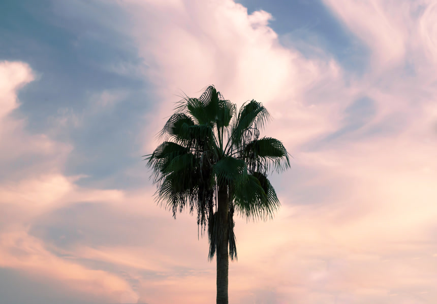 夕阳天空云彩日落棕榈树背景热带