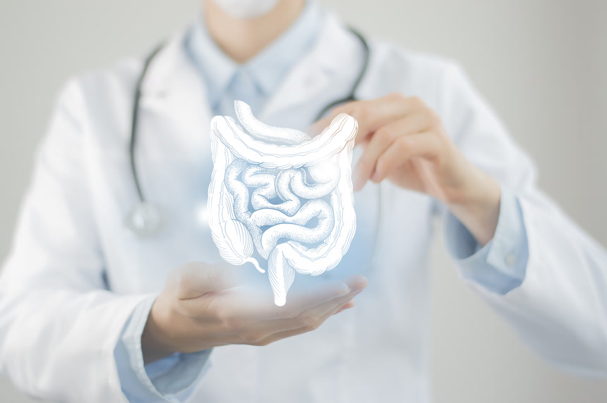 女医生手里拿着虚拟肠道医学人像