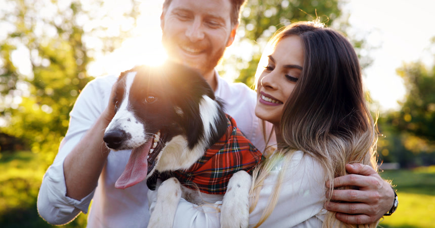 浪漫情侣抱着一只穿衣服的小狗在户外的合照  爱护动物概念