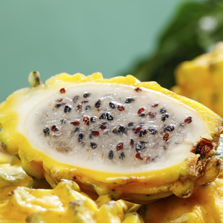 浅底上的麒麟果