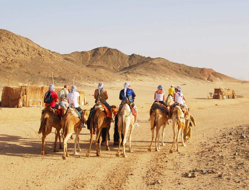 大型沙漠骆驼商队丝绸之路西域大漠旅行