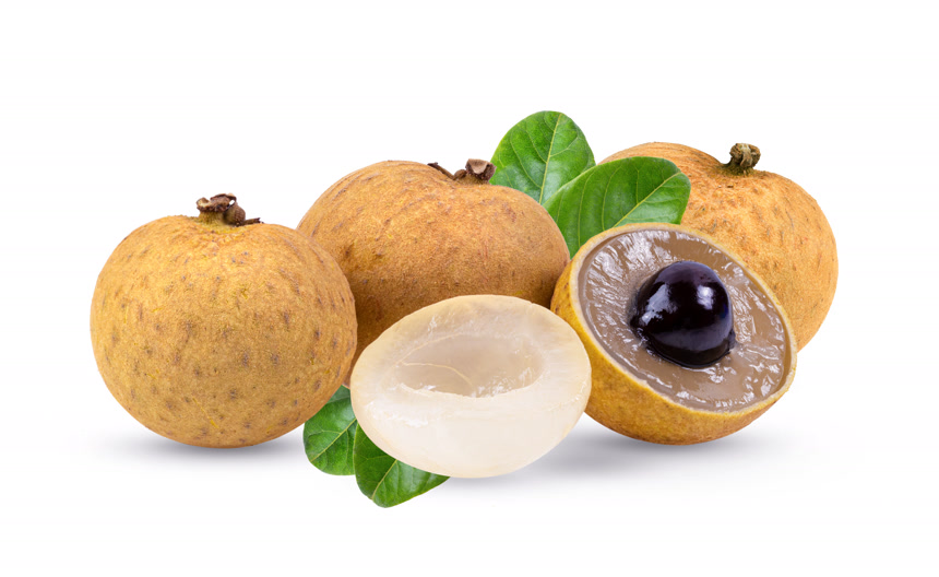 新鲜多汁的桂圆新鲜健康果蔬白底图