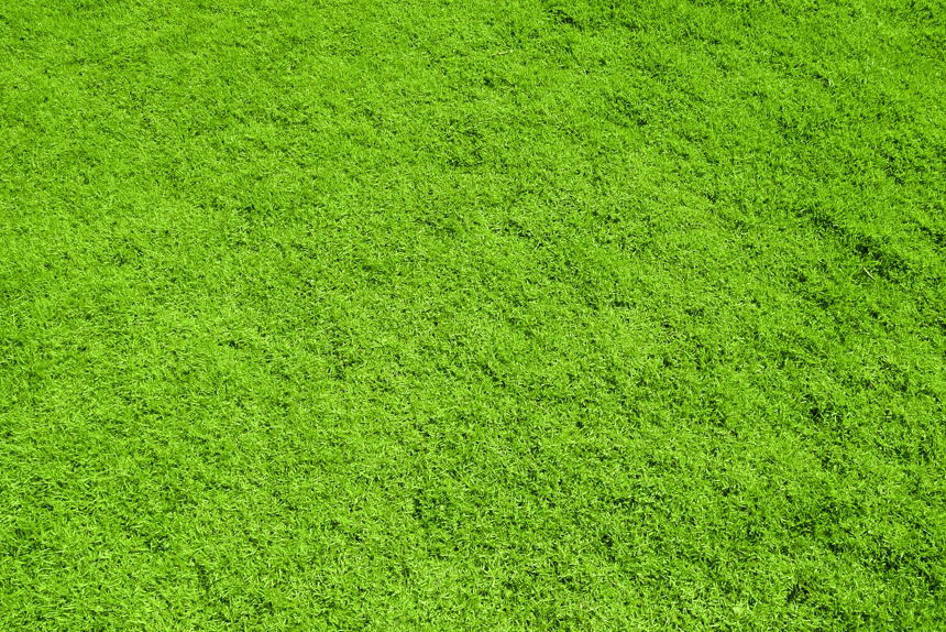 小清新绿色草地电脑壁纸风景