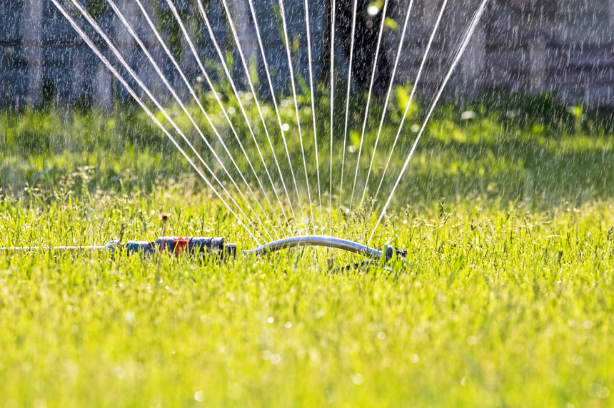 洒水者清晨在花园里浇灌果树场景生活方式