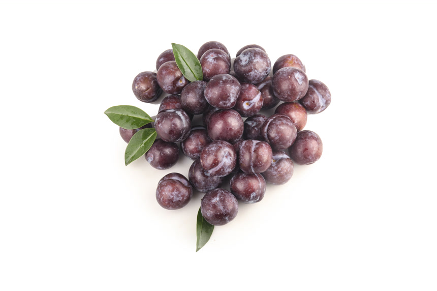 白底上的五月脆李子