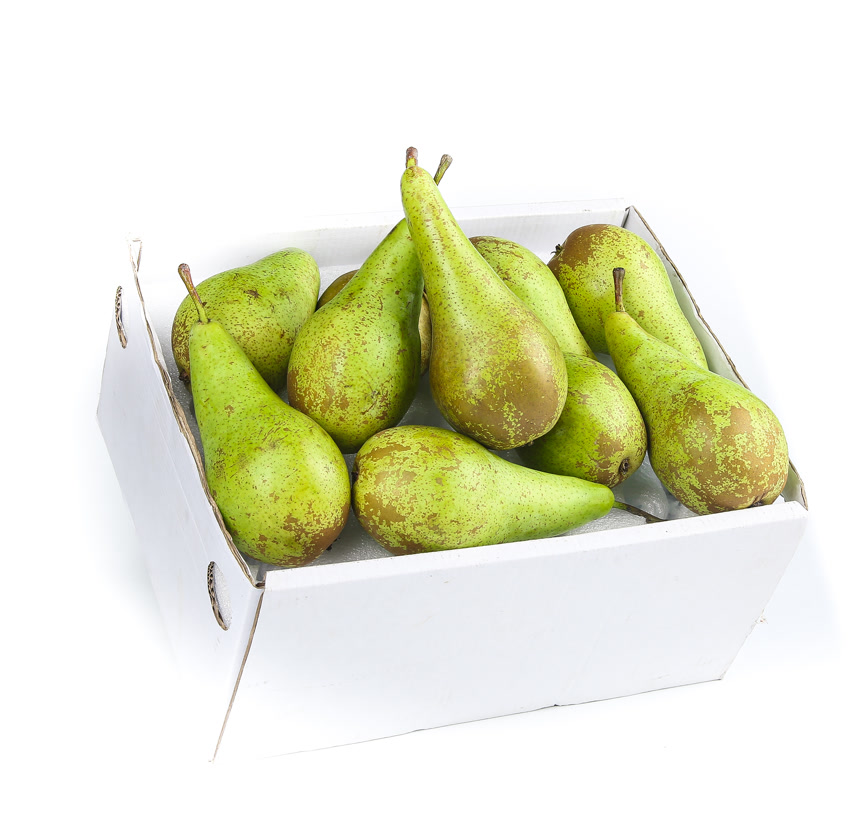 白底上的进口啤梨