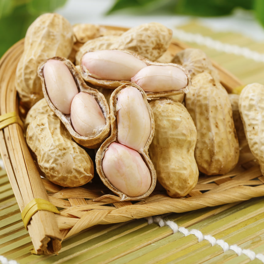 浅底上的新鲜花生