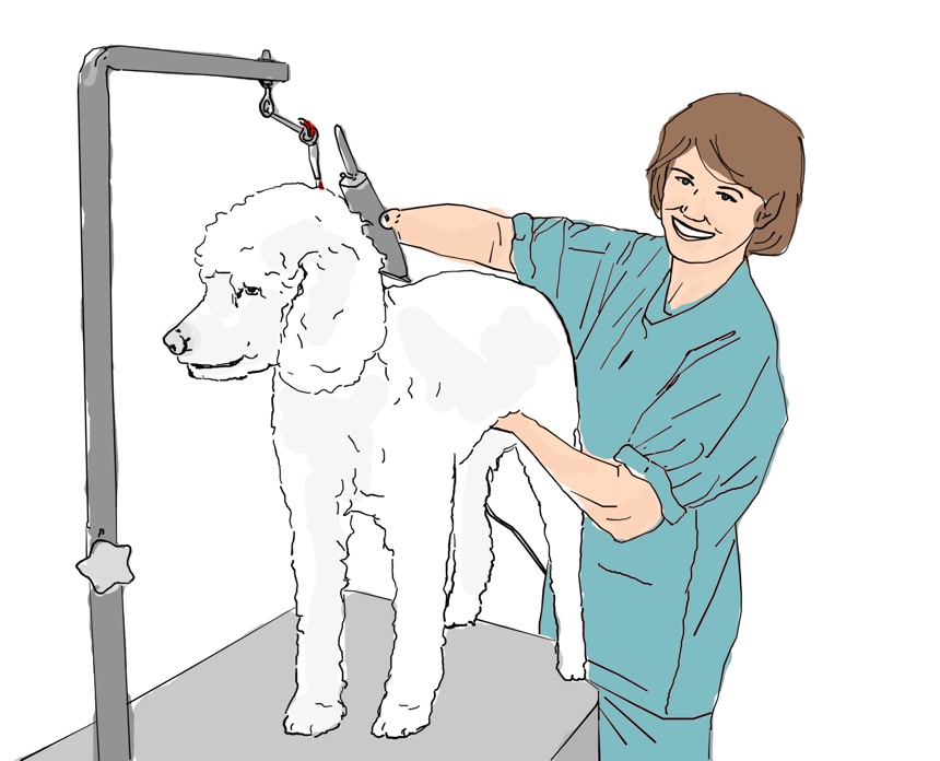 穿蓝色工作服的的宠物美容师给宠物狗修建毛发的插图漫画