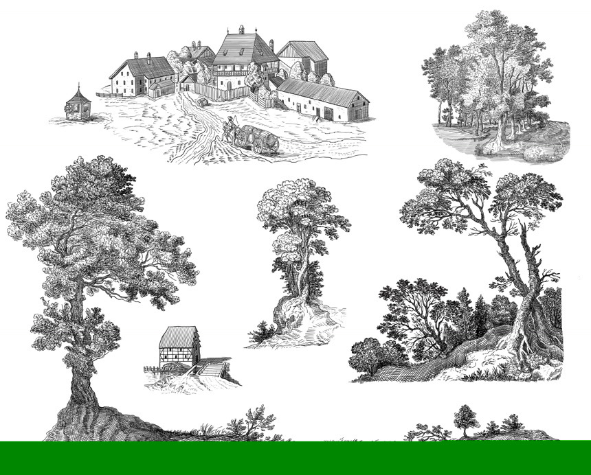 庄园老树植物钢笔画速写