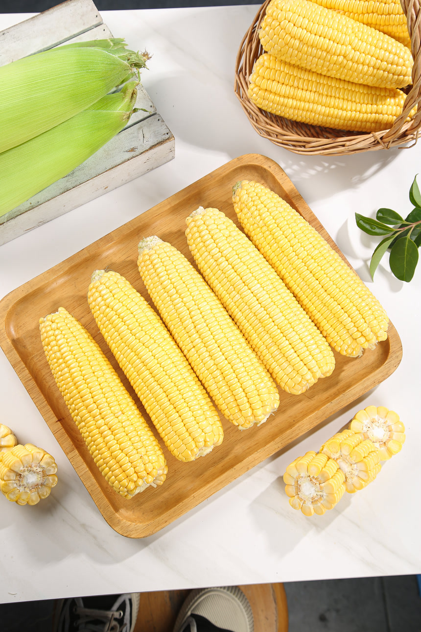 浅底上的黄玉米