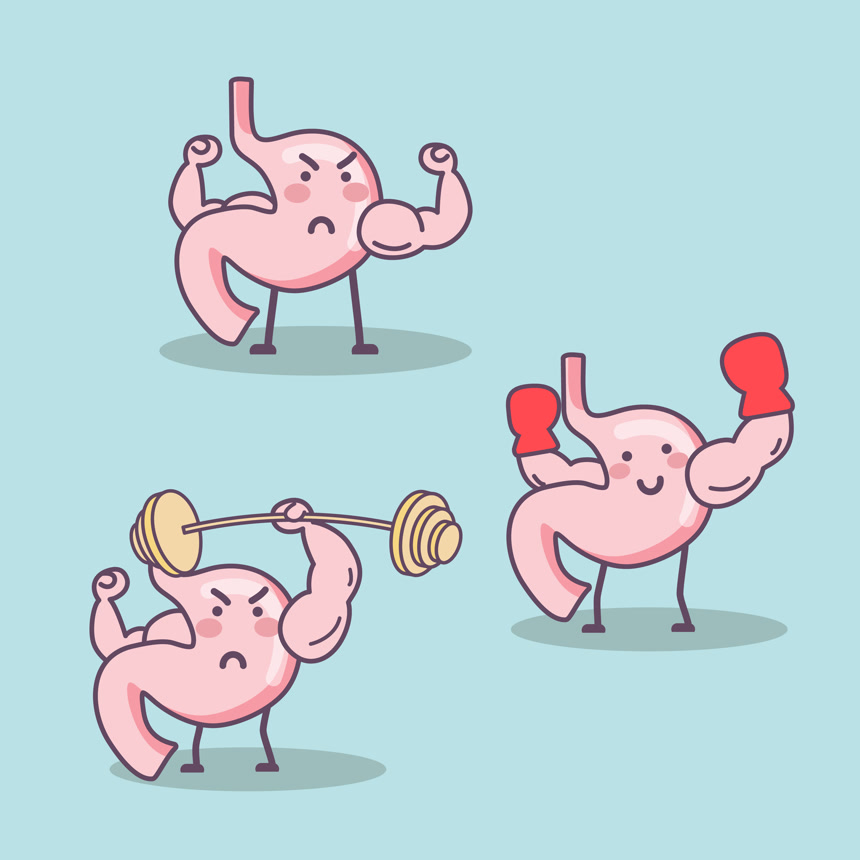 可爱的卡通胃角色健康食品概念