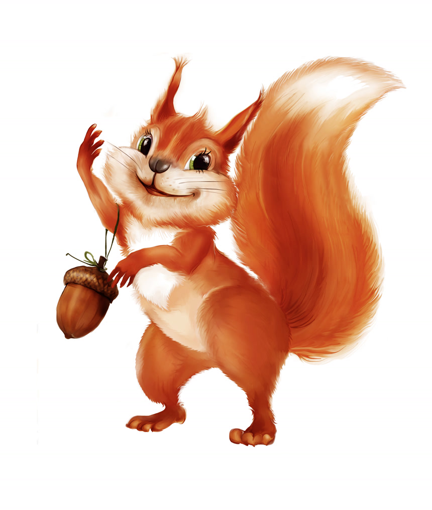 创意卡通手绘可爱的松鼠和橡子白底图插画背景