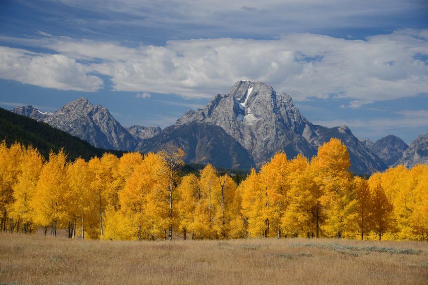 黄石公园秋天山和树自然公园