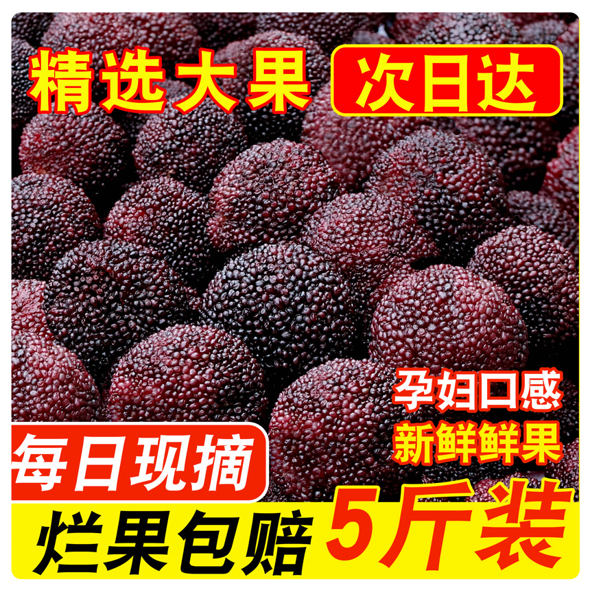 新鲜东魁杨梅主图