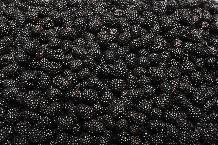 新鲜成熟的桑葚摄影图健康生活方式