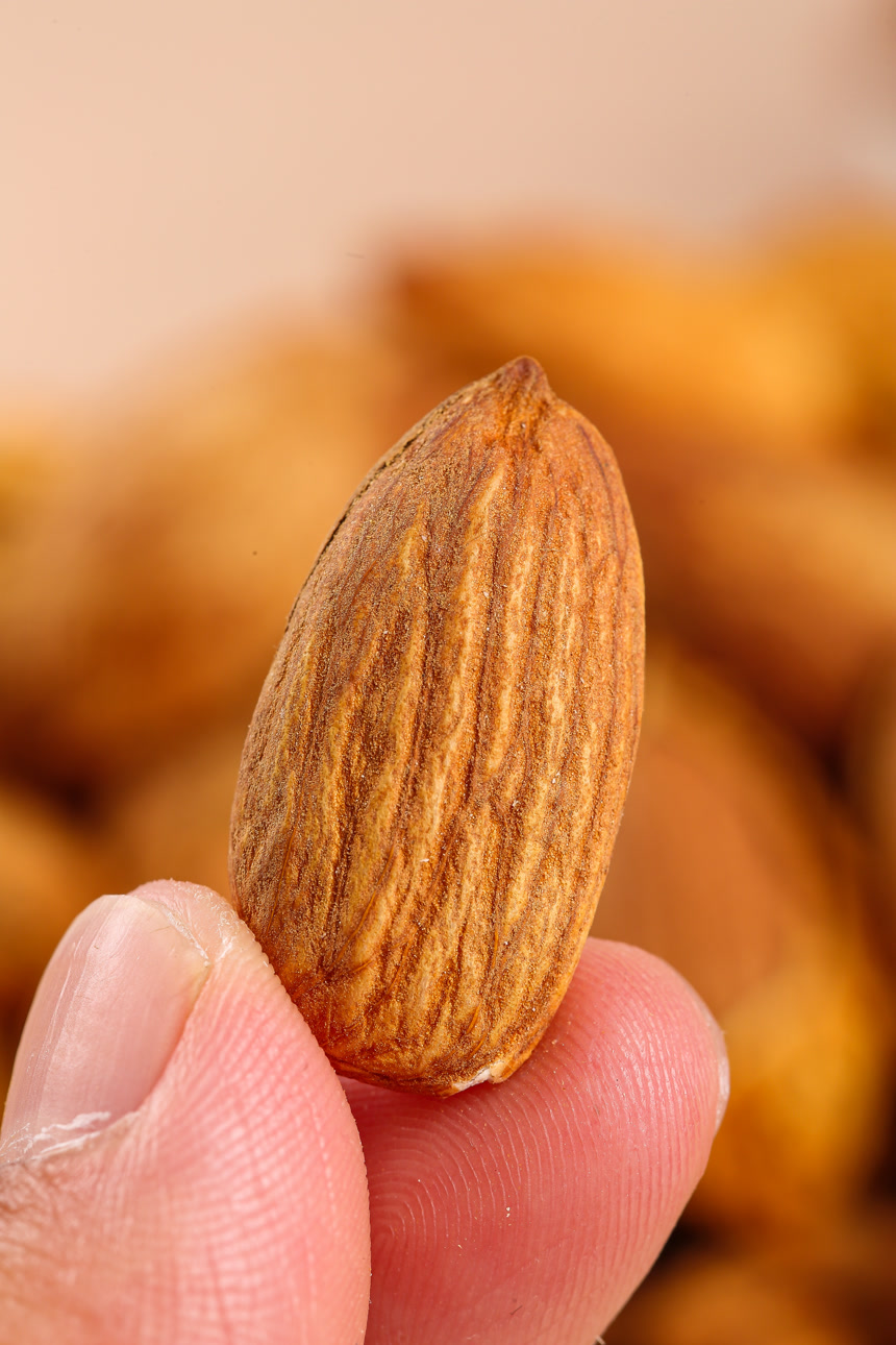 浅底上的巴旦木