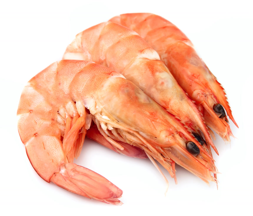 煮熟的海鲜大虾美食白底图