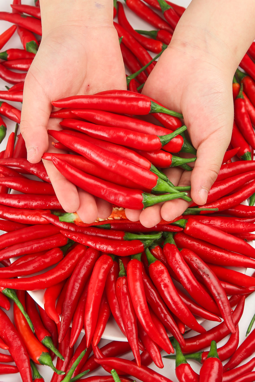 白底上的小米辣