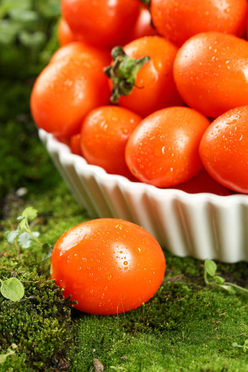 浅底上的小番茄