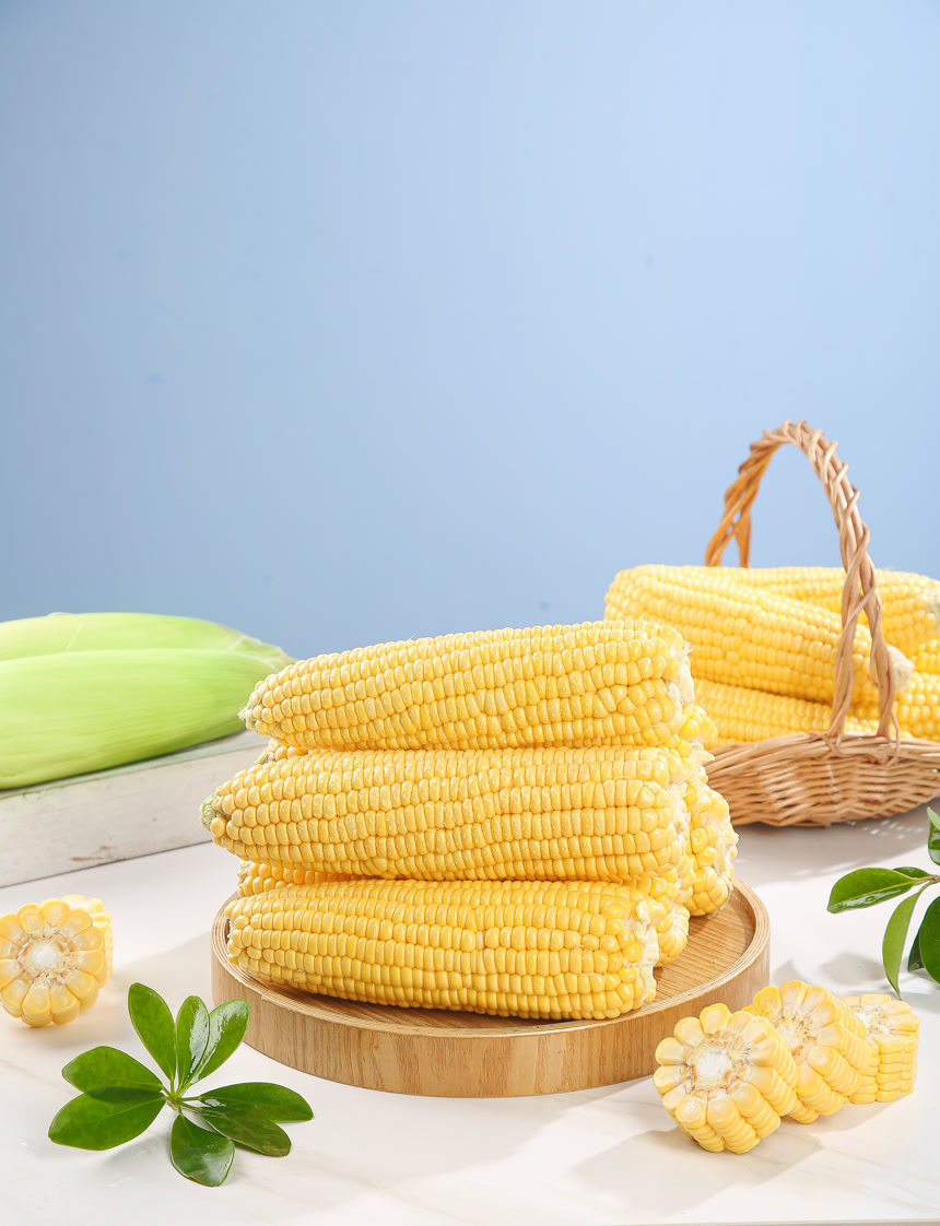 浅底上的黄玉米