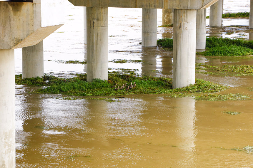 洪水洪涝自然灾害
