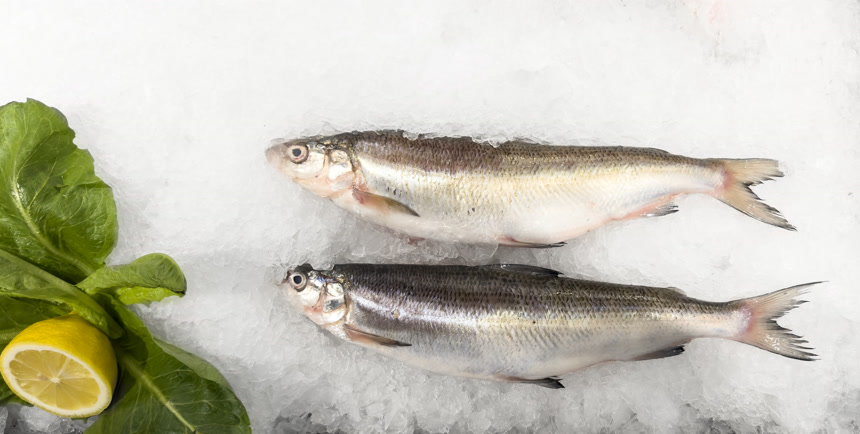 生白鱼在冰上市集海鲜餐厅出售鲜鱼.冻结冰以便在新鲜的海运市场出售 