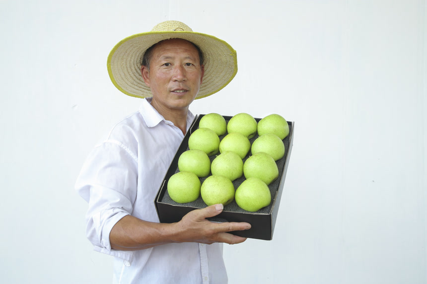 手里拿着一盒青皇冠梨