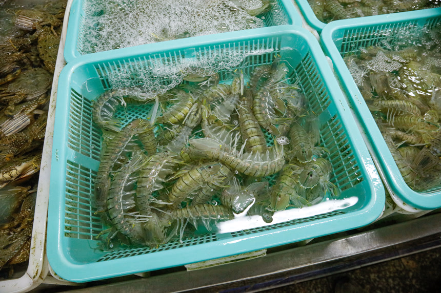 皮皮虾海鲜 海产品