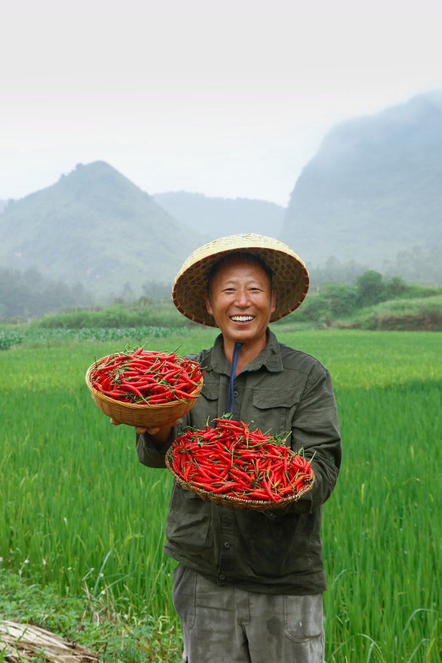 夏季菜园中的农民