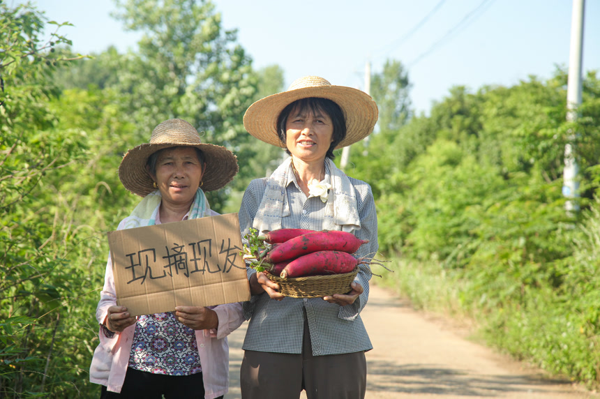 手里拿着红萝卜