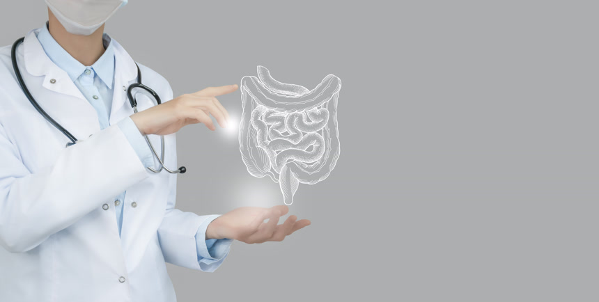 女医生手里拿着虚拟肠道人体器官医疗人像