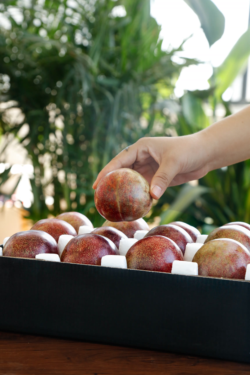 手里拿着恐龙蛋李