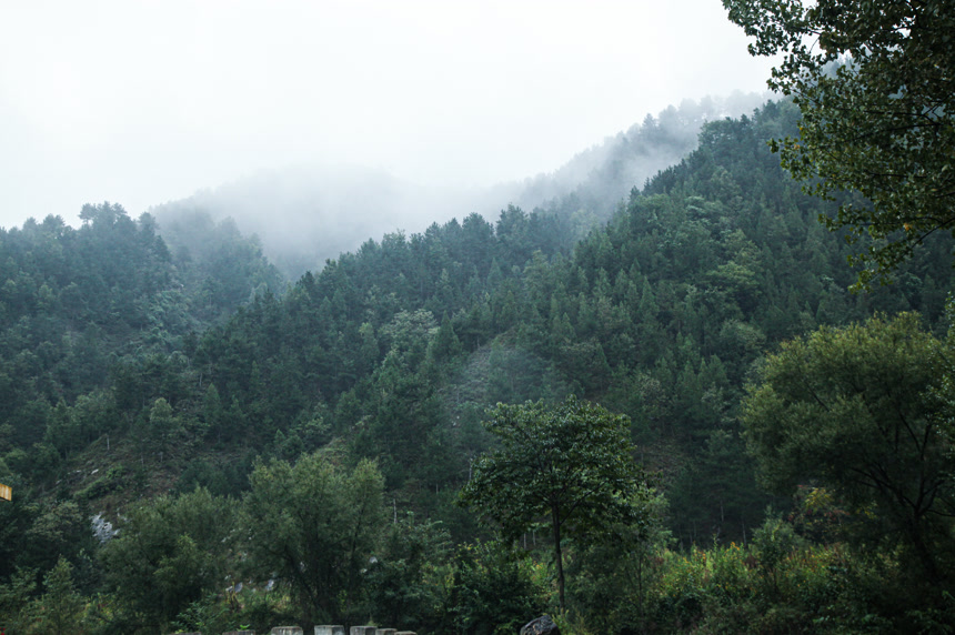 深山风景 云海