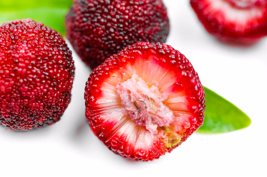 白底上的新鲜杨梅