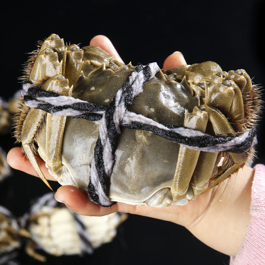 摆放整齐的大闸蟹