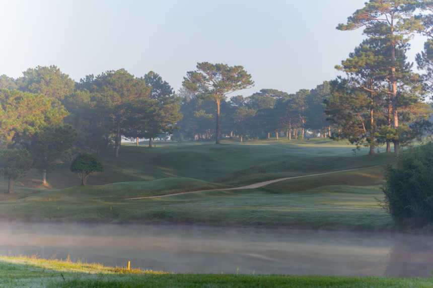 阳光、大树、草坪自然景观壁纸图     环境的创意设计中的应用