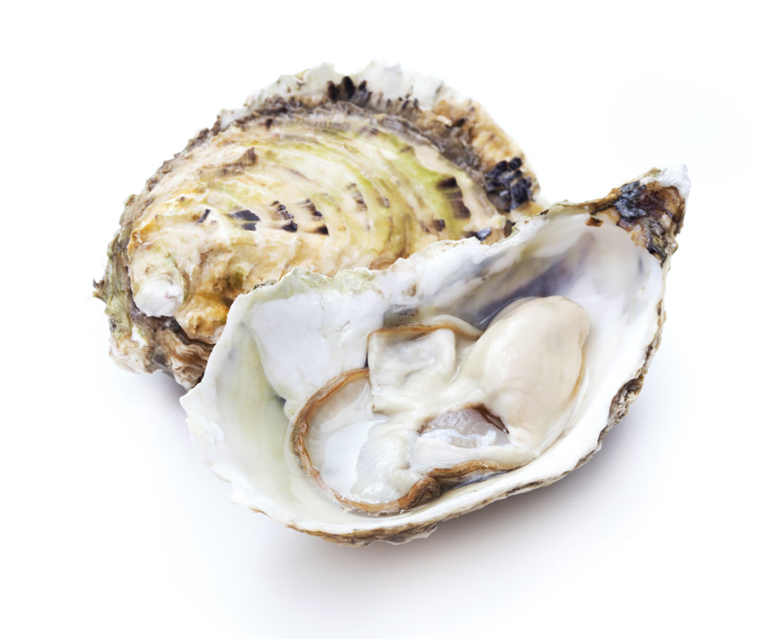 一个打开的生蚝可以看到里面的肉和周围的壳