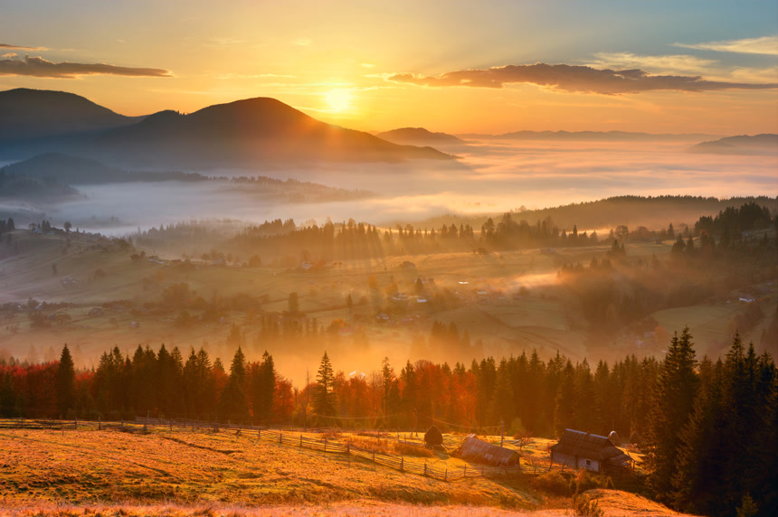 清晨迷雾云雾森林云海日出唯美自然风景壁纸